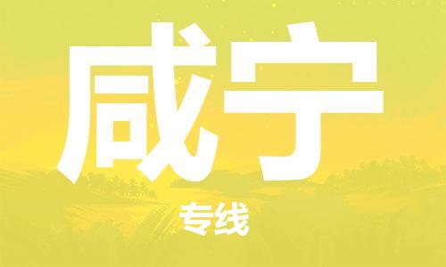 廣州到咸寧物流公司|廣州到咸寧物流專(zhuān)線(xiàn)|廣州到咸寧空運公司（市/縣-均可送達）